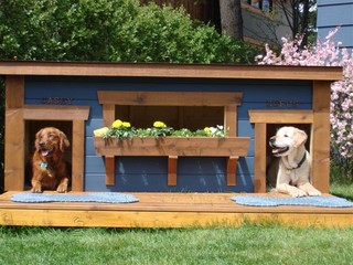 Casey & Rufus - Alberta